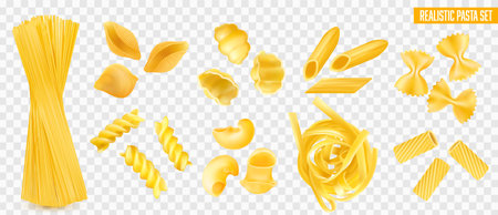 Dry italian pasta types realistic set with spaghetti penne farfalle tagliatelle fusilli isolated on transparent background vector illustrationのイラスト素材