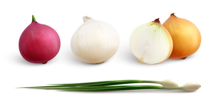 Onion realistic set with isolated whole onions cut to halves and sprouts of green bunching onion vector illustrationのイラスト素材