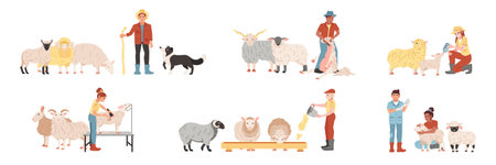 Flat set of people feeding shearing looking after sheep on farm isolated vector illustrationのイラスト素材