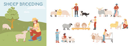 Sheep breeding farm flat composition set with farmers looking after animals isolated vector illustrationのイラスト素材