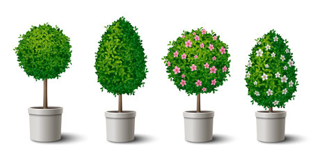 Small shaped green trees in pots with and without flowers realistic set isolated vector illustrationのイラスト素材