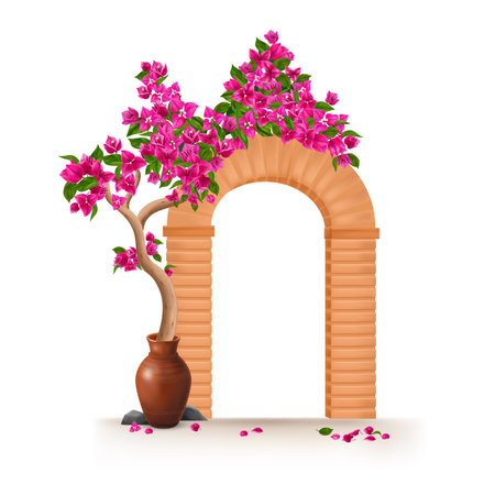 Bougainvillea tree growing in clay pot encircling the arch realistic object isolated at white background vector illustrationのイラスト素材
