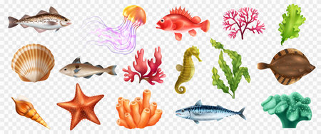 Sea life realistic set of fish algae and other ocean creatures isolated at transparent background vector illustrationのイラスト素材