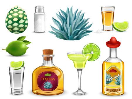 Tequila mexican strong alcoholic beverage in bottles and glasses realistic set isolated vector illustrationのイラスト素材