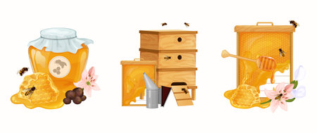 Honey set of three isolated compositions with beehives and beekeeping equipment honeycomb with bees...