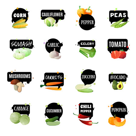 Vegetables label set with sixteen isolated garden produced green grocery polygonal images and appropriate naming tags vector illustrationのイラスト素材