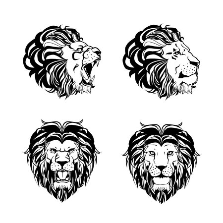 Collection of four engravings with lion head in different angles in hand drawn ink style isolated on white background vector illustrationのイラスト素材