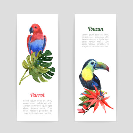 Tropical  rainforest vacation vertical banners set with exotic parrot and toucan bird watercolor  abstract  isolated vector illustrationのイラスト素材