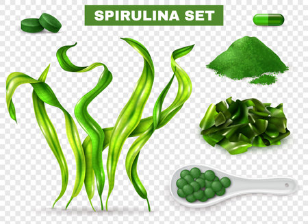 Spirulina realistic set with seaweeds  supplement capsules tablets green powder chopped dried algae transparent background vector illustrationのイラスト素材