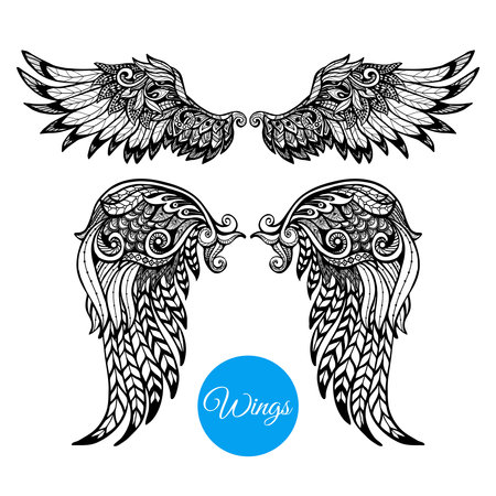 Decorative wings set with hand drawn ornamental feathers isolated vector illustrationのイラスト素材