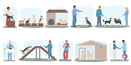 Dog breeder business flat set of isolated compositions with pets on podiums in cages at doctors vector illustrationのイラスト素材