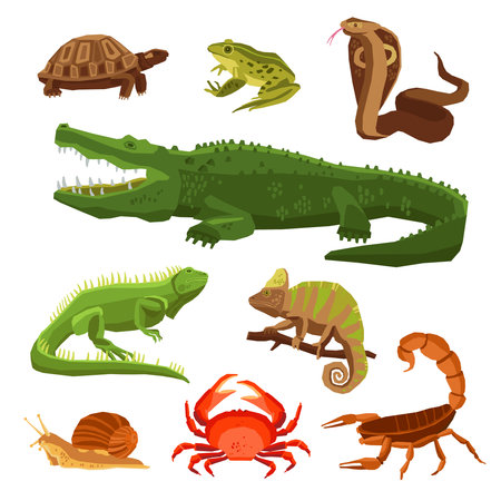 Reptiles and amphibians decorative set of cobra crocodile turtle snail scorpion crab icons in cartoon style isolated vector illustrationのイラスト素材
