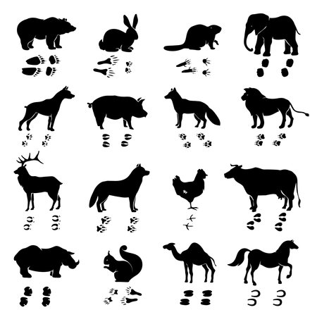 Wild and domestic animals and birds silhouettes with their tracks monochrome set isolated on white background flat vector illustrationのイラスト素材