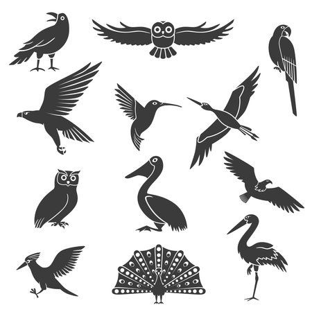 Stylized wild and exotic birds silhouettes black icons collection with pelican soaring eagle and peacock isolated vector illustrationのイラスト素材