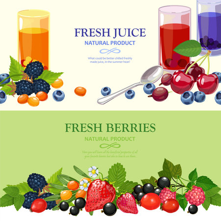 Best wild and garden cultivated berries 2 flat horizontal banners set with tastiest juices abstract isolated vector illustrationのイラスト素材