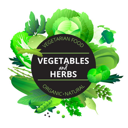 Natural organic vegetables and herbs round frame with cabbage courgette celery and pea green abstract vector illustrationのイラスト素材