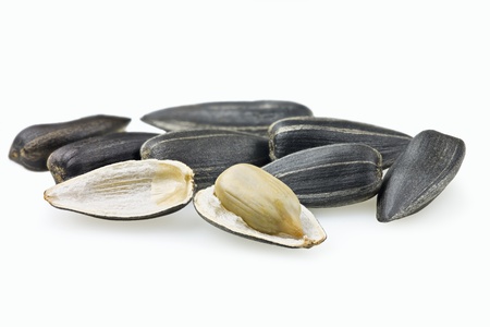 Sunflower seed open on white backgroundの写真素材