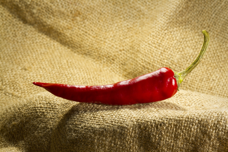 Red hot Chilli pepper on burlapの写真素材