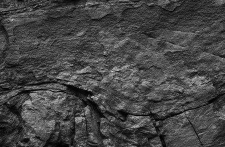 Background from natural texture of stone surface. Stone surface black and white texture.の写真素材