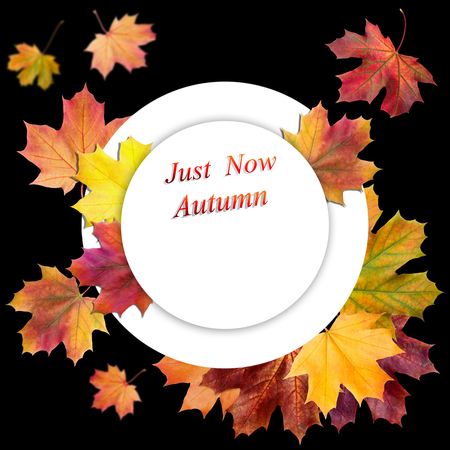 Autumn sale and hello autumn  design set of posters and backgroundの写真素材