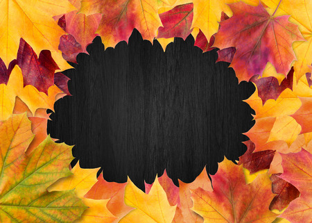 Autumn  design set of posters and background. Autumn background.の写真素材