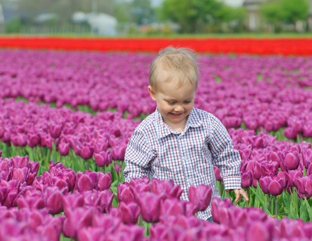 Boy In Tulip Fieldの写真素材