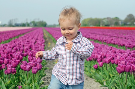 Boy In Tulip Fieldの写真素材
