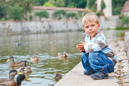 Cute little boy feeding ducksの写真素材