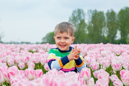 Boy In Tulip Fieldの写真素材