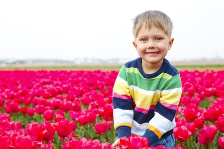 Cute Boy between of the purple tulips fieldの写真素材
