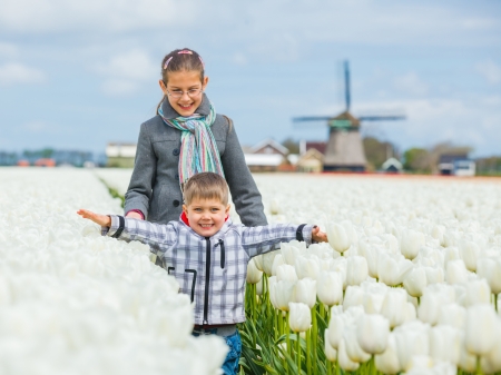 Boy with his sister runs between of the purple tulips fieldの写真素材
