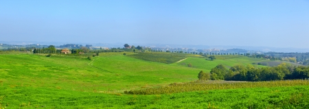 Green Tuscany landscape panorama with vineyard, Chianti region, Italyの写真素材
