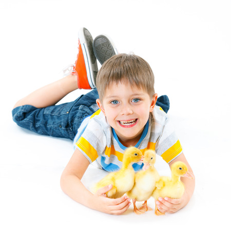 Boy with cute chickensの写真素材