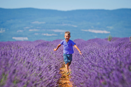 Happy baby boy running in lavender summer field near Valensole. Provence, France.の写真素材