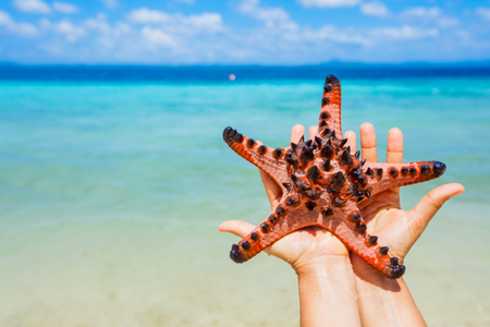 Beautiful colorful starfish in girl hands in blue bright summer water.の写真素材