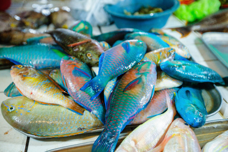 Fresh fishes in a market for sale, Philippinesの写真素材