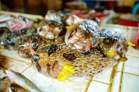 Fresh fishes in a market for sale, Philippinesの写真素材