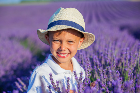 Happy baby boy in lavender summer field near Valensole. Provence, France.の写真素材