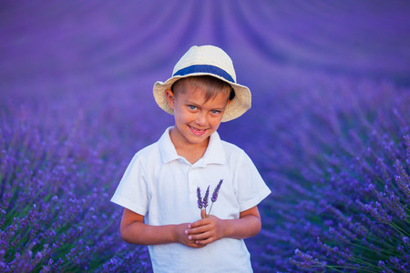 Happy baby boy in lavender summer field near Valensole. Provence, France.の写真素材