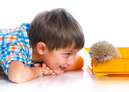 Boy with pet. Little boy plays with white hedgehog. Isolated on the white backgroundの写真素材