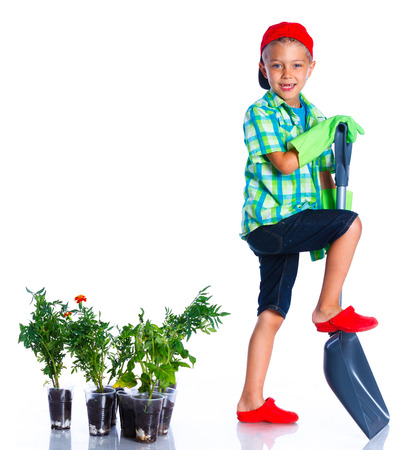 Cute boy gardener planting seeds and seedlings of tomatoes and vegetable. Isolated on the white backgroundの写真素材