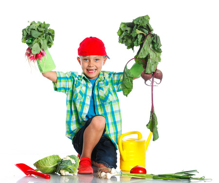 Cute preschool boy gardener. Isolated on the white backgroundの写真素材