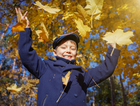 Cute boy having fun with yellow leaves in autumn parkの写真素材