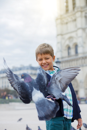 Boy with birds near Notre Dame de Paris cathedral in Paris, Franceの写真素材