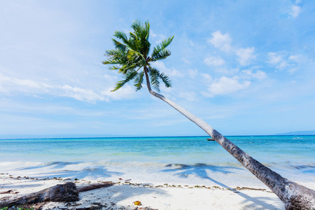 Beautiful beach and tropical seaの写真素材