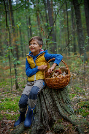 Cute boy with wild mushroom found in the forestの写真素材
