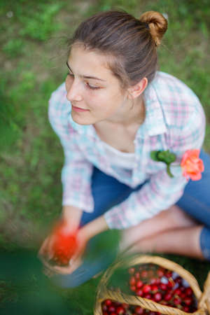 Pretty young girl picking cherry in gardenの写真素材