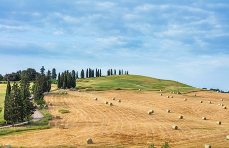 Tuscany rural landscape. Countryside farm, cypresses trees, field, sun light and cloud. Italyの写真素材