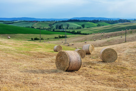 Tuscany rural landscape. Countryside farm, cypresses trees, field, sun light and cloud. Italy