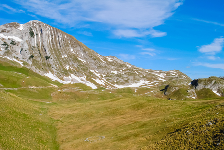 North of Montenegro, the territory of the reserve Zabljakの写真素材